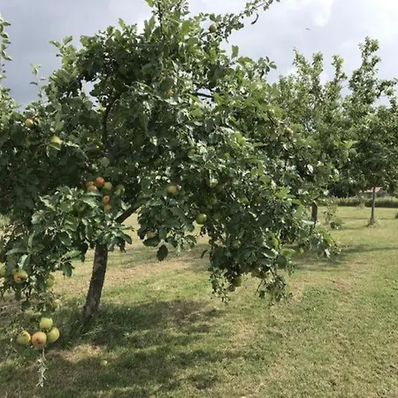 度假居 Domaine Du Bedat