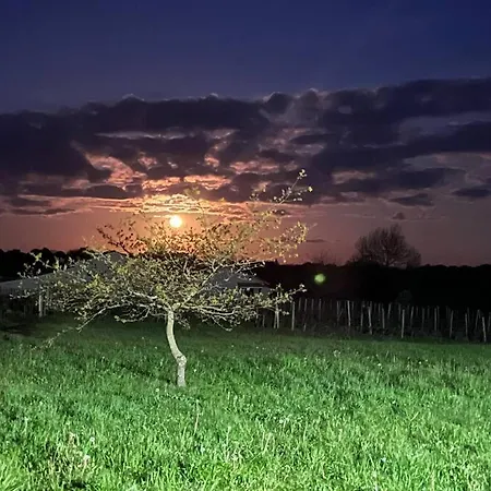 Domaine Du Bedat 度假居