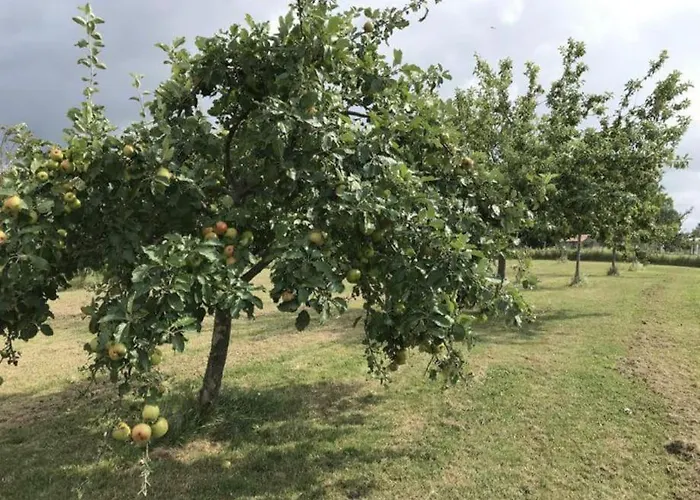 Dom wakacyjny Domaine Du Bedat