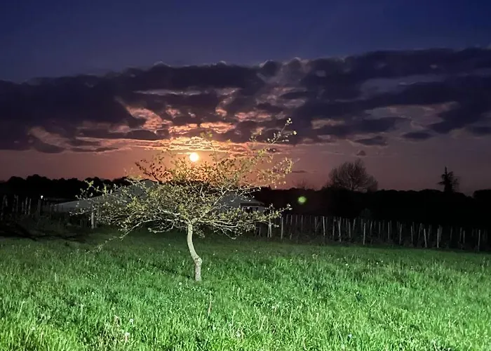 Domaine Du Bedat Dom wakacyjny